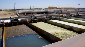 6 - sewage treatment at Surprise WWTP