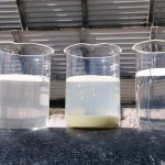 Three water samples showing raw cooling tower water, the silica settled out and cleaned water ready to be returned to the tower.