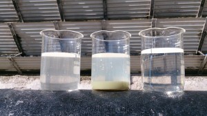 Three water samples showing raw cooling tower water, the silica settled out and cleaned water ready to be returned to the tower.